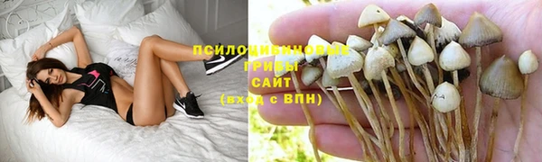 ECSTASY Абаза