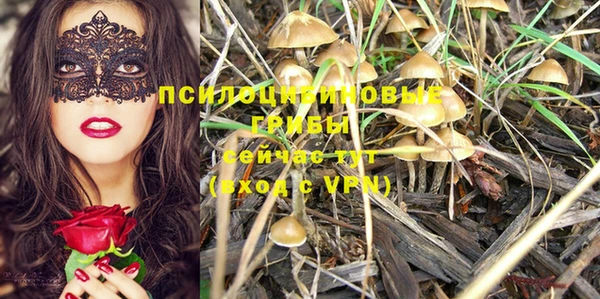 spice Абдулино