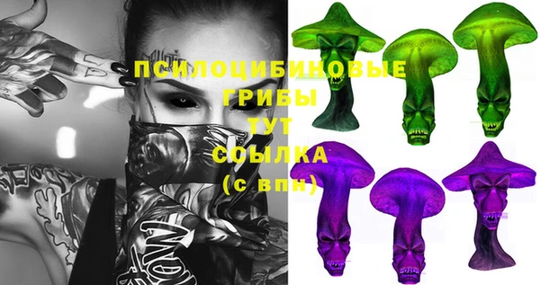 ECSTASY Абаза