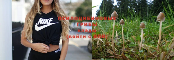 mdpv Абинск