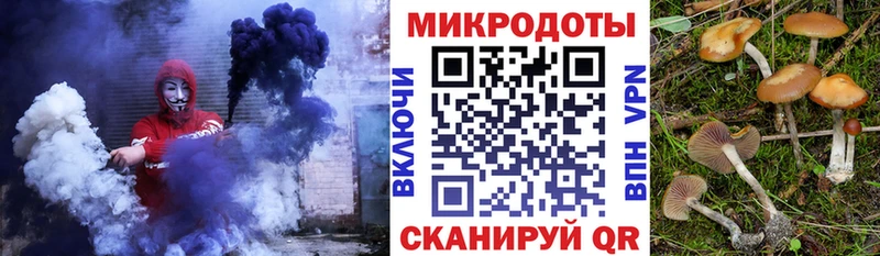 продажа наркотиков  Холмск  Галлюциногенные грибы ЛСД 